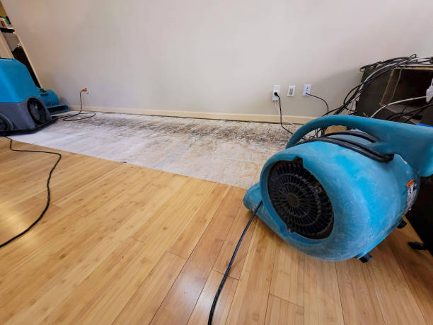 Professional Flood Damage Cleanup technician working in Williamsburg, KY